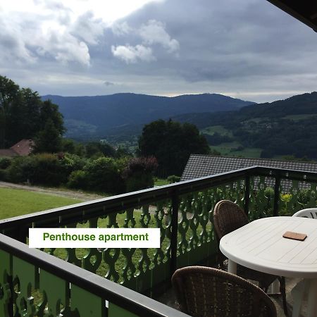 Le Green Chalet Villard-sur-Boege Extérieur photo