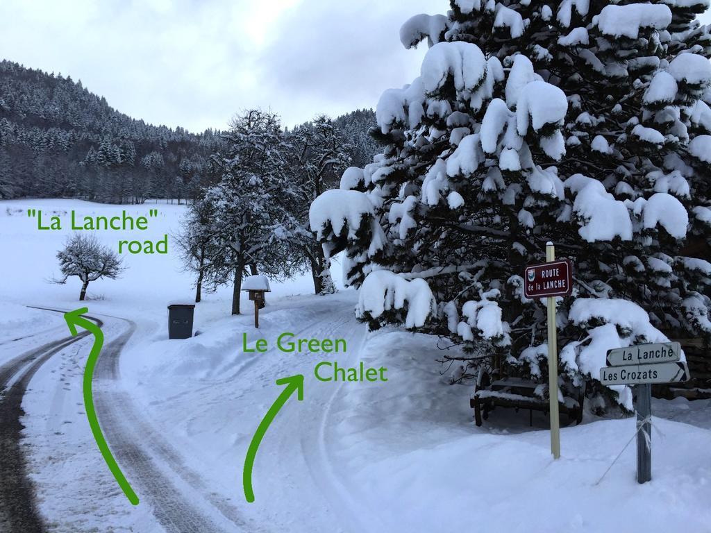 Le Green Chalet Villard-sur-Boege Extérieur photo