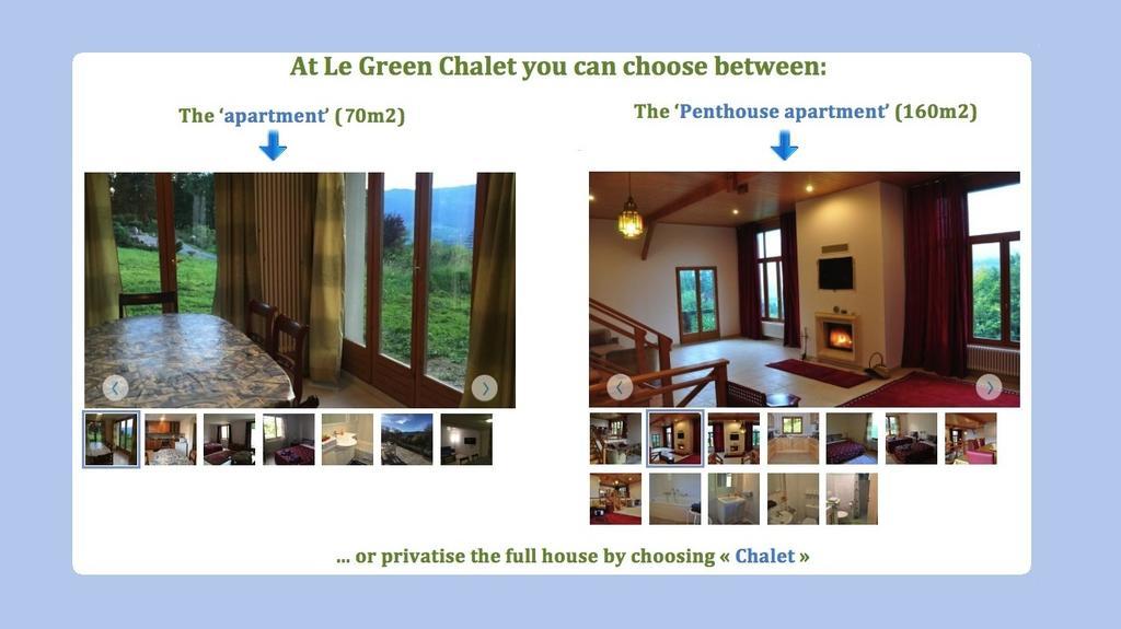 Le Green Chalet Villard-sur-Boege Extérieur photo