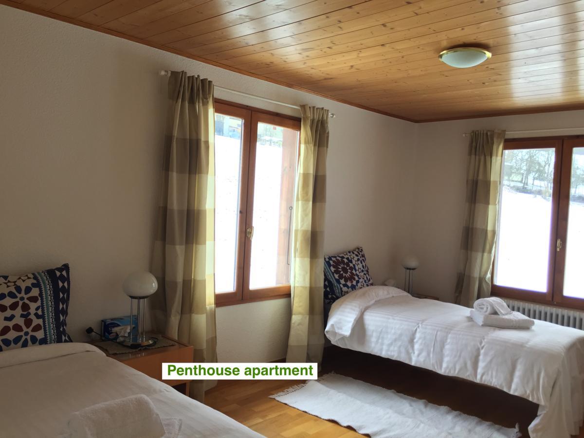 Le Green Chalet Villard-sur-Boege Extérieur photo
