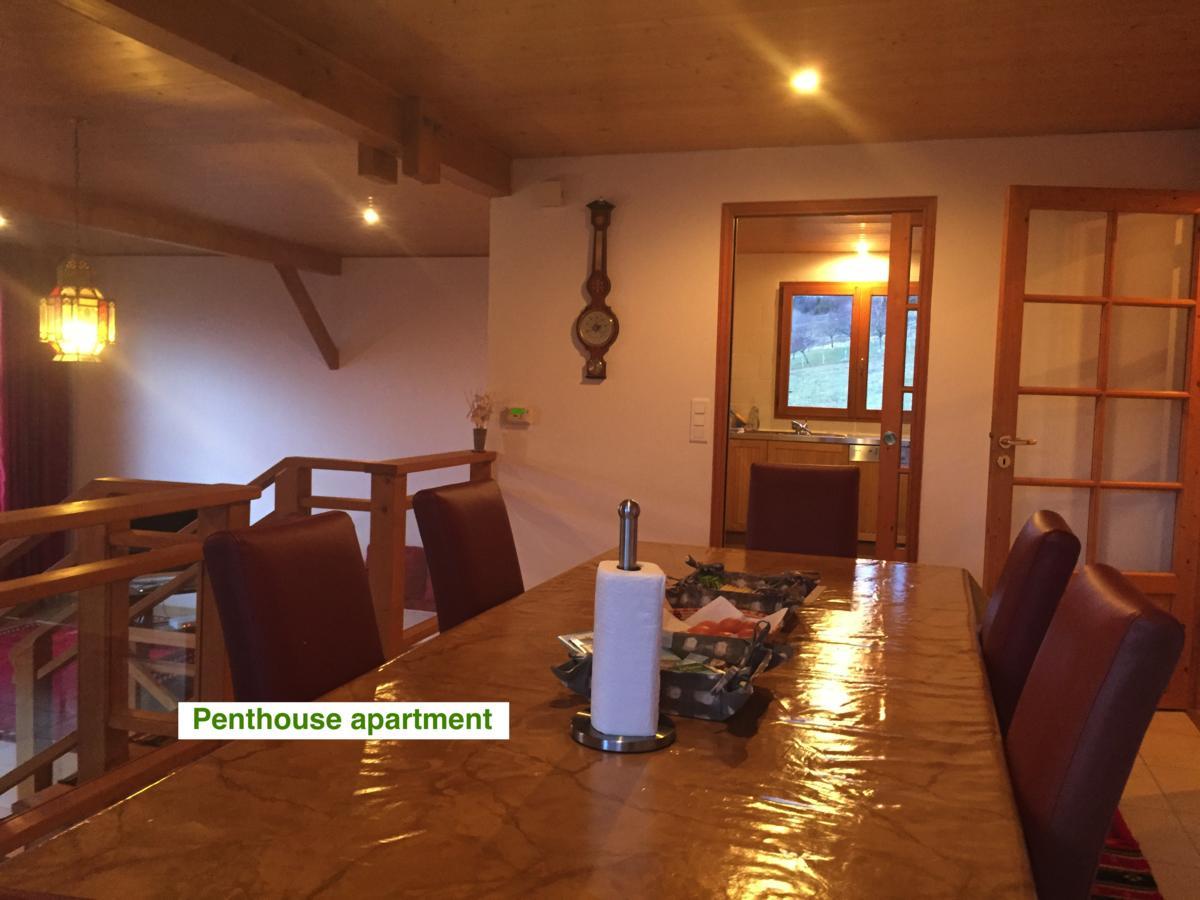 Le Green Chalet Villard-sur-Boege Extérieur photo