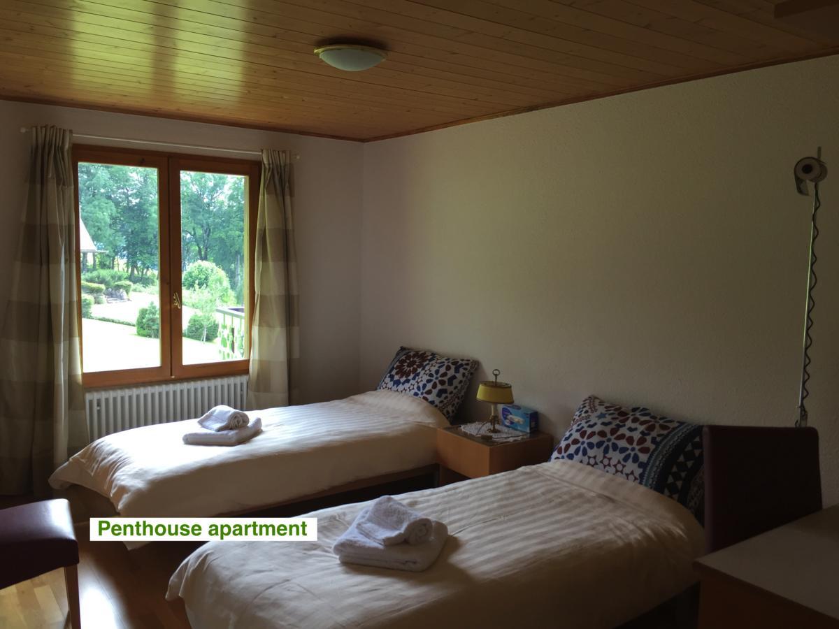 Le Green Chalet Villard-sur-Boege Extérieur photo