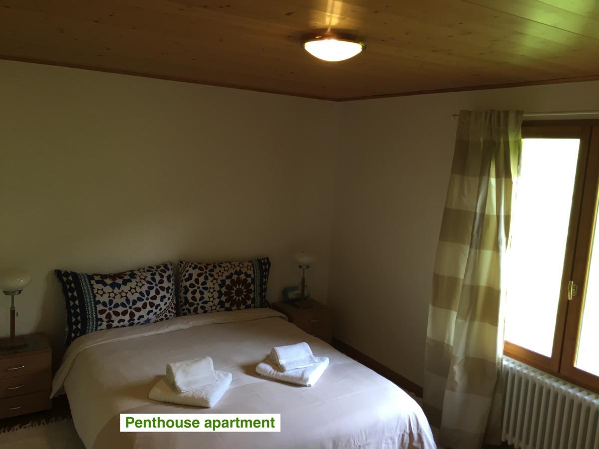Le Green Chalet Villard-sur-Boege Extérieur photo