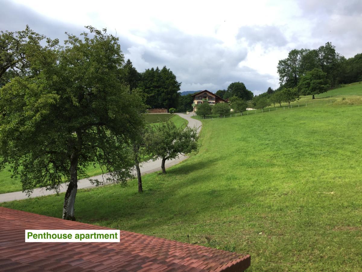 Le Green Chalet Villard-sur-Boege Extérieur photo