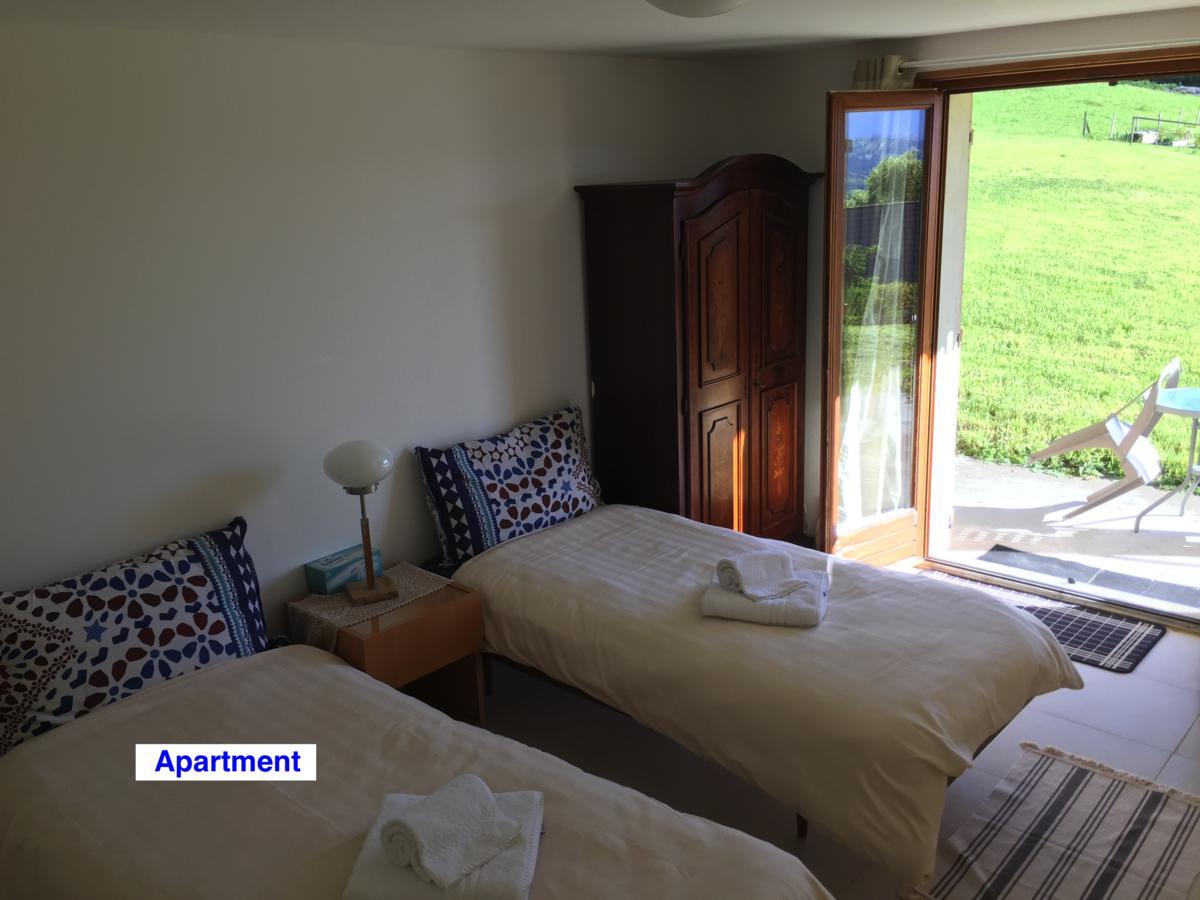 Le Green Chalet Villard-sur-Boege Extérieur photo