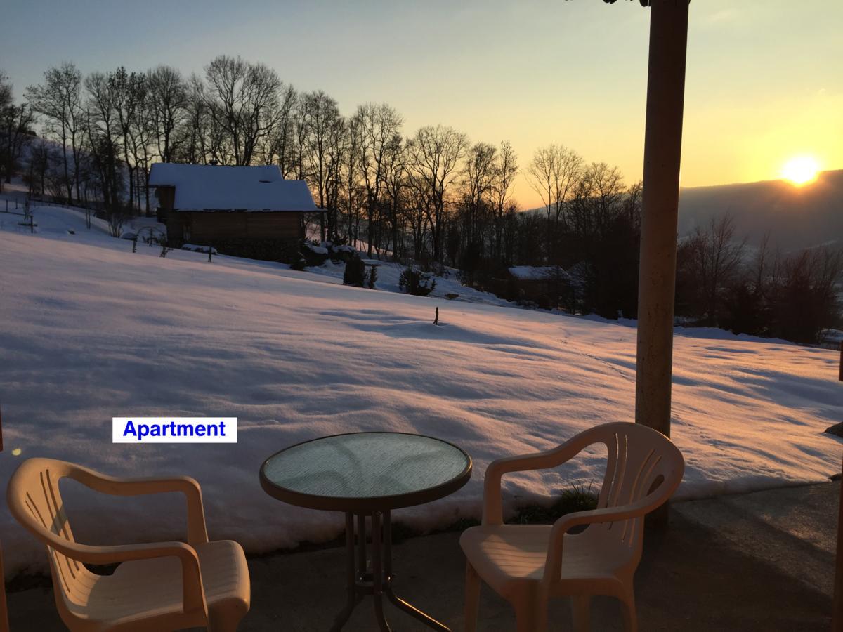 Le Green Chalet Villard-sur-Boege Extérieur photo
